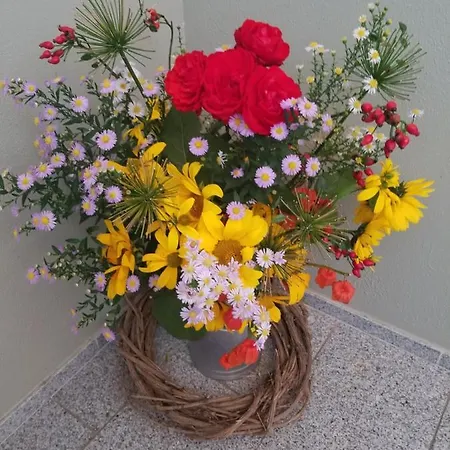 Sonnenschein * Rheinhausen