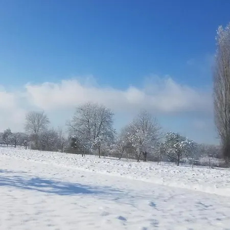 Sonnenschein