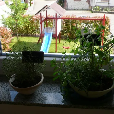 Sonnenschein