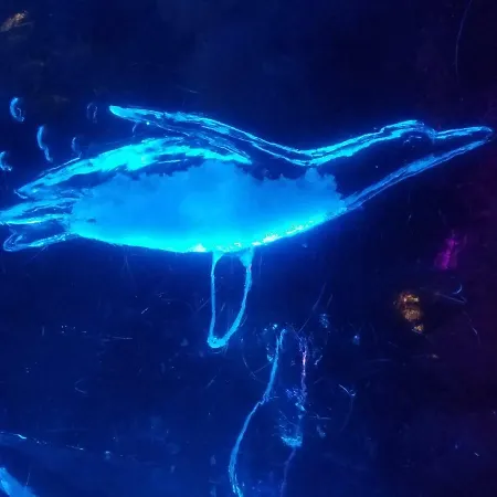 Sonnenschein Hébergement de vacances *